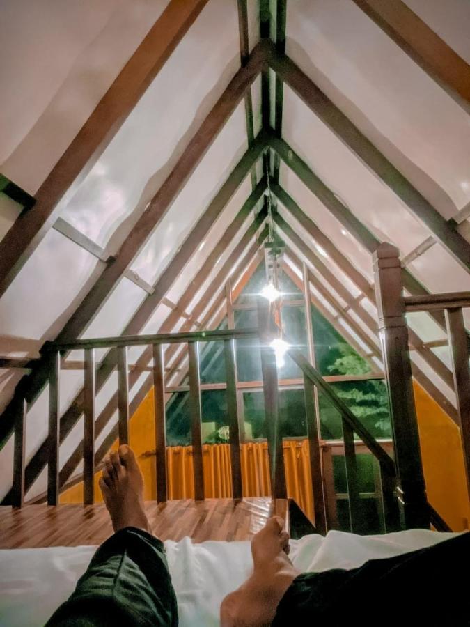 Rainforest Cabin دينيايا المظهر الخارجي الصورة