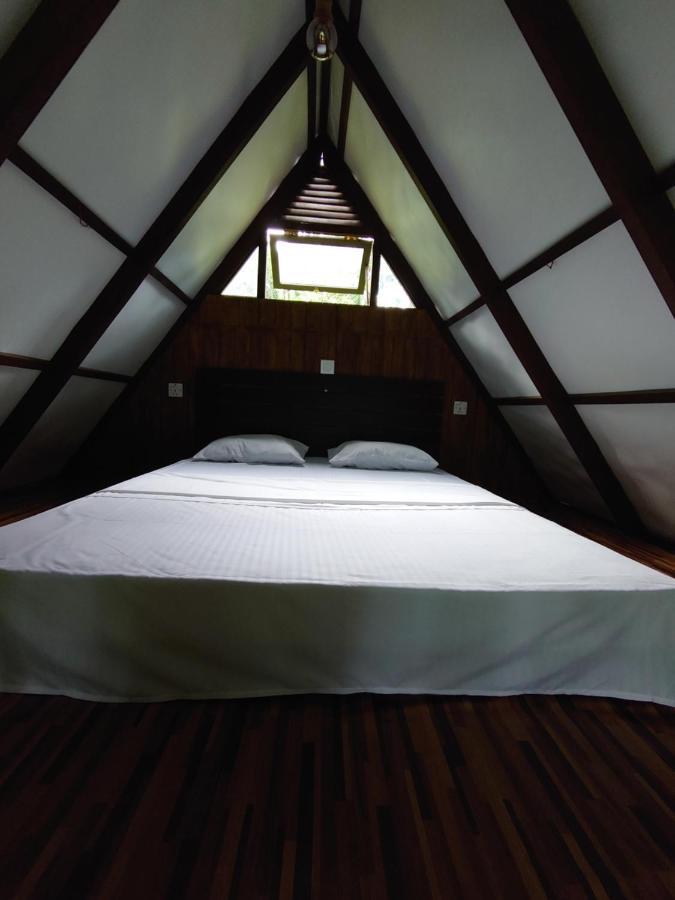 Rainforest Cabin دينيايا المظهر الخارجي الصورة