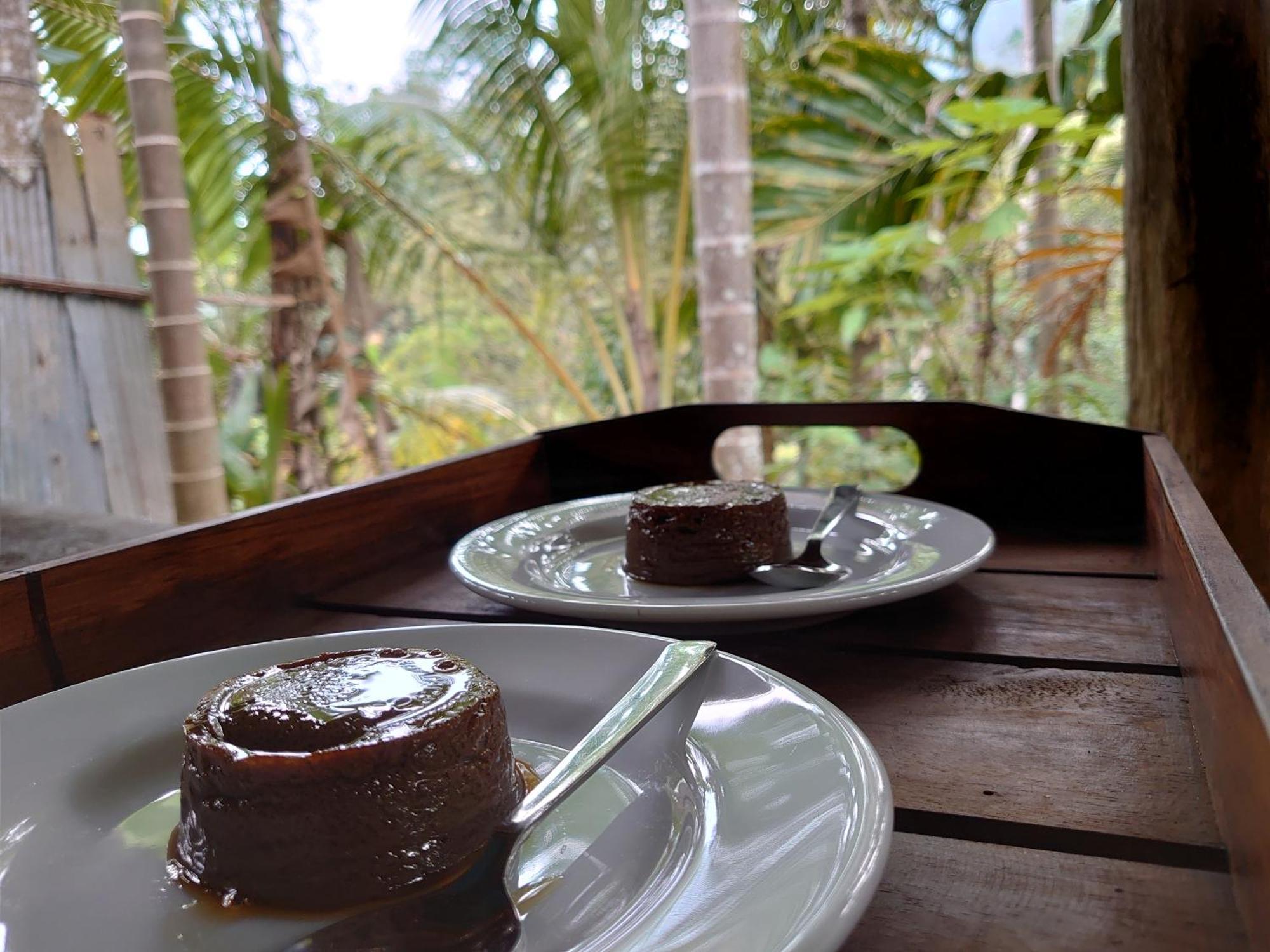 Rainforest Cabin دينيايا المظهر الخارجي الصورة