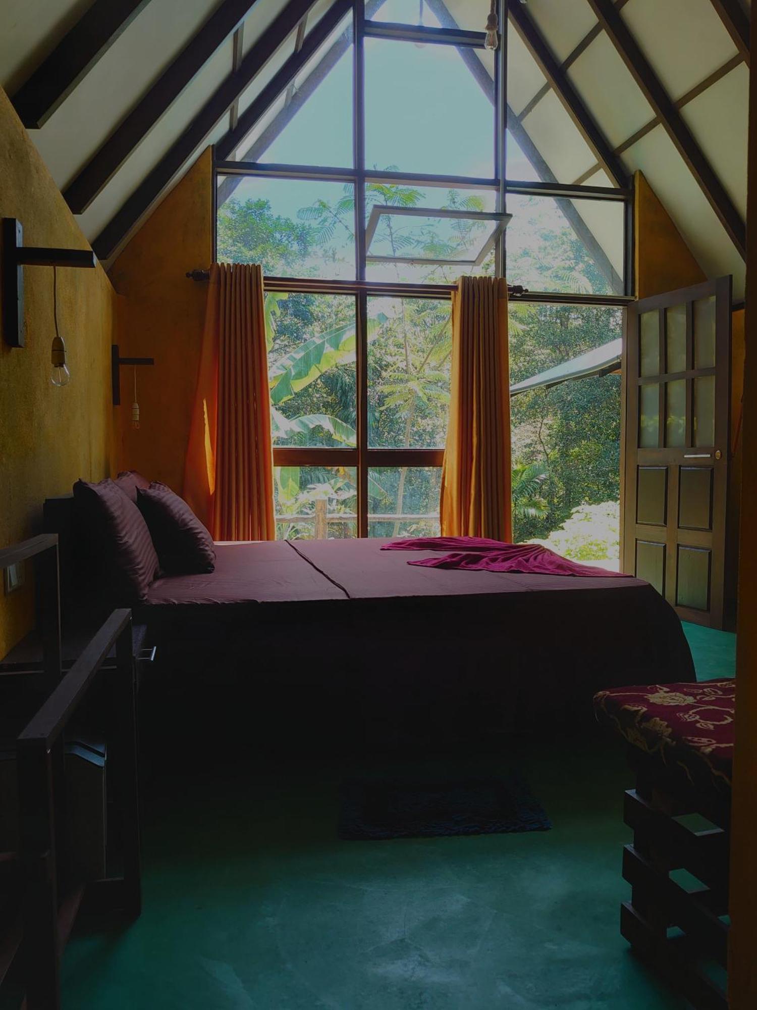 Rainforest Cabin دينيايا المظهر الخارجي الصورة