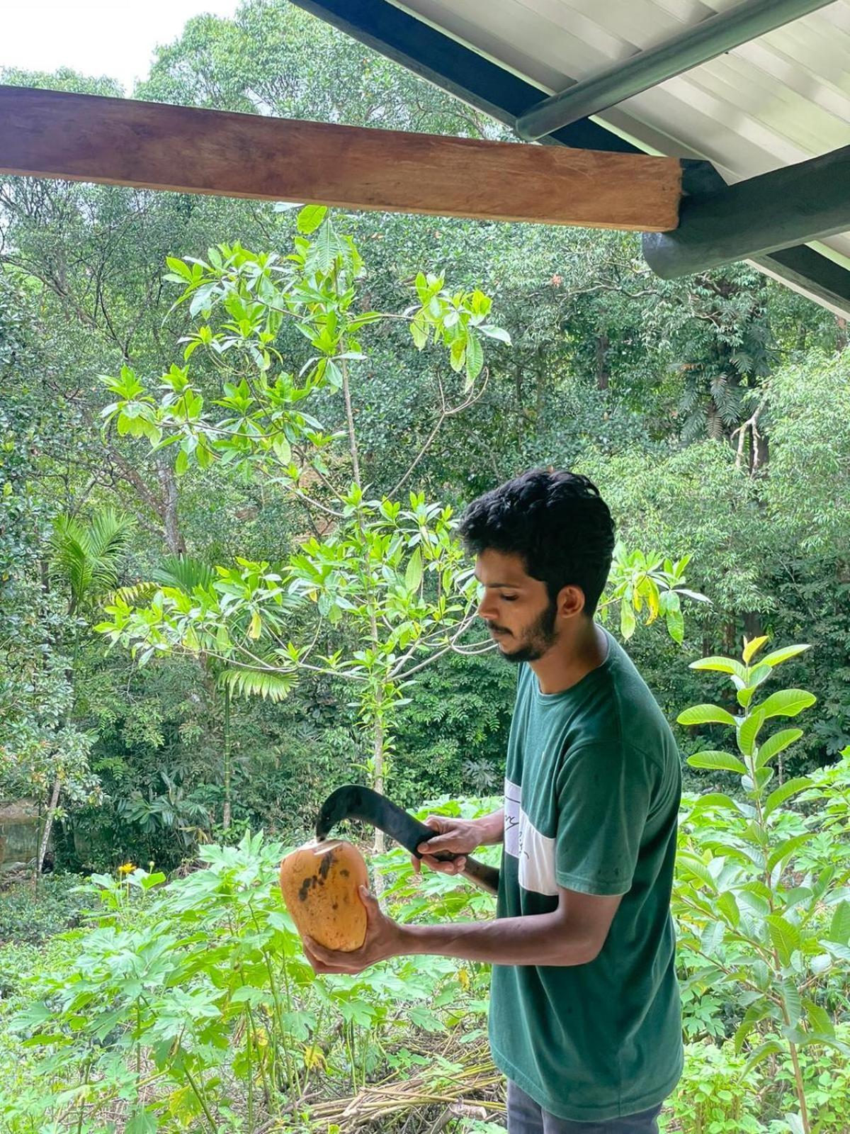 Rainforest Cabin دينيايا المظهر الخارجي الصورة