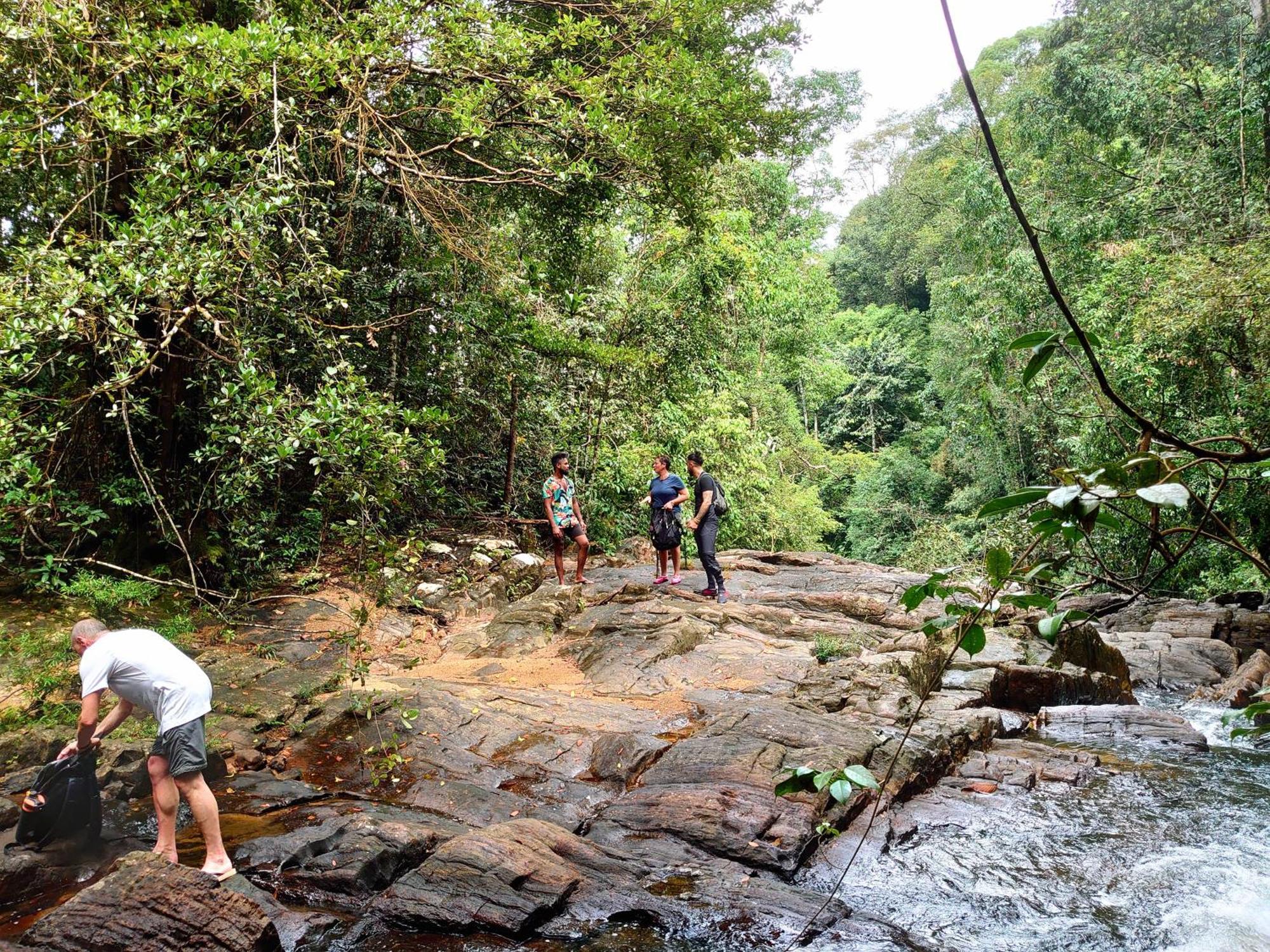 Rainforest Cabin دينيايا المظهر الخارجي الصورة