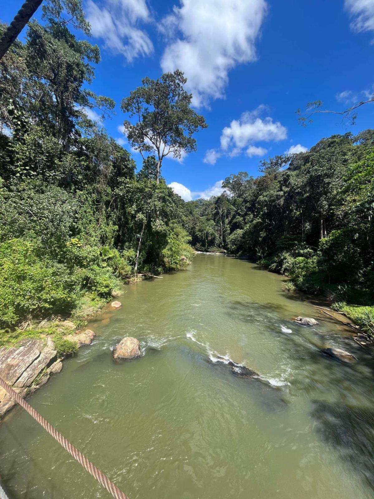 Rainforest Cabin دينيايا المظهر الخارجي الصورة