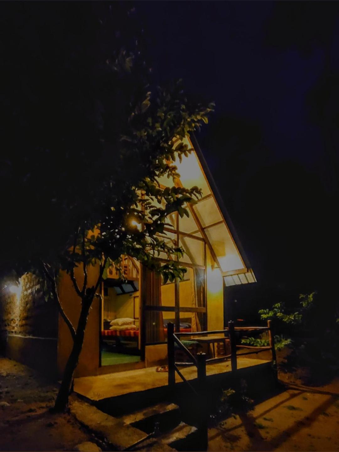 Rainforest Cabin دينيايا المظهر الخارجي الصورة