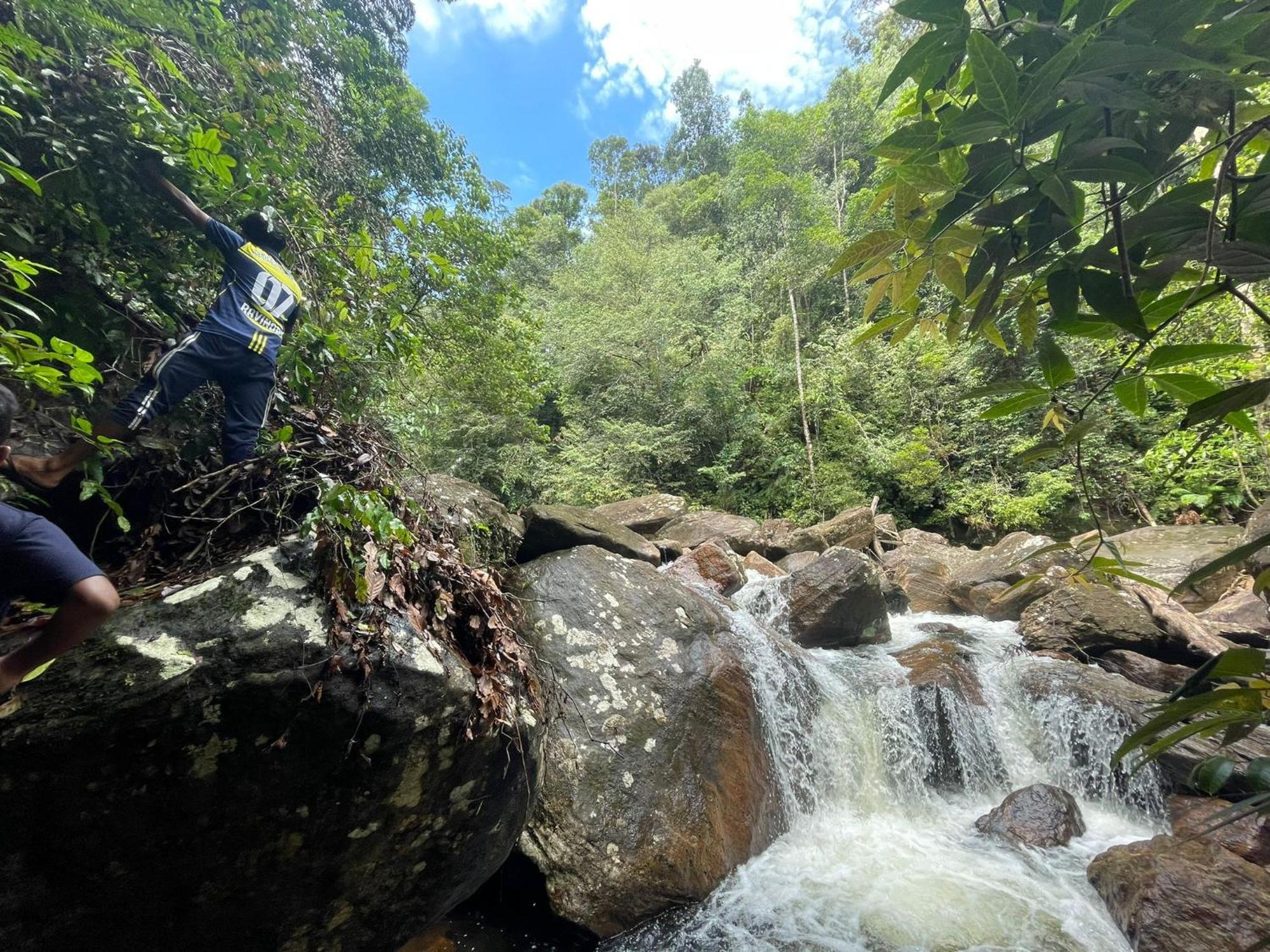 Rainforest Cabin دينيايا المظهر الخارجي الصورة