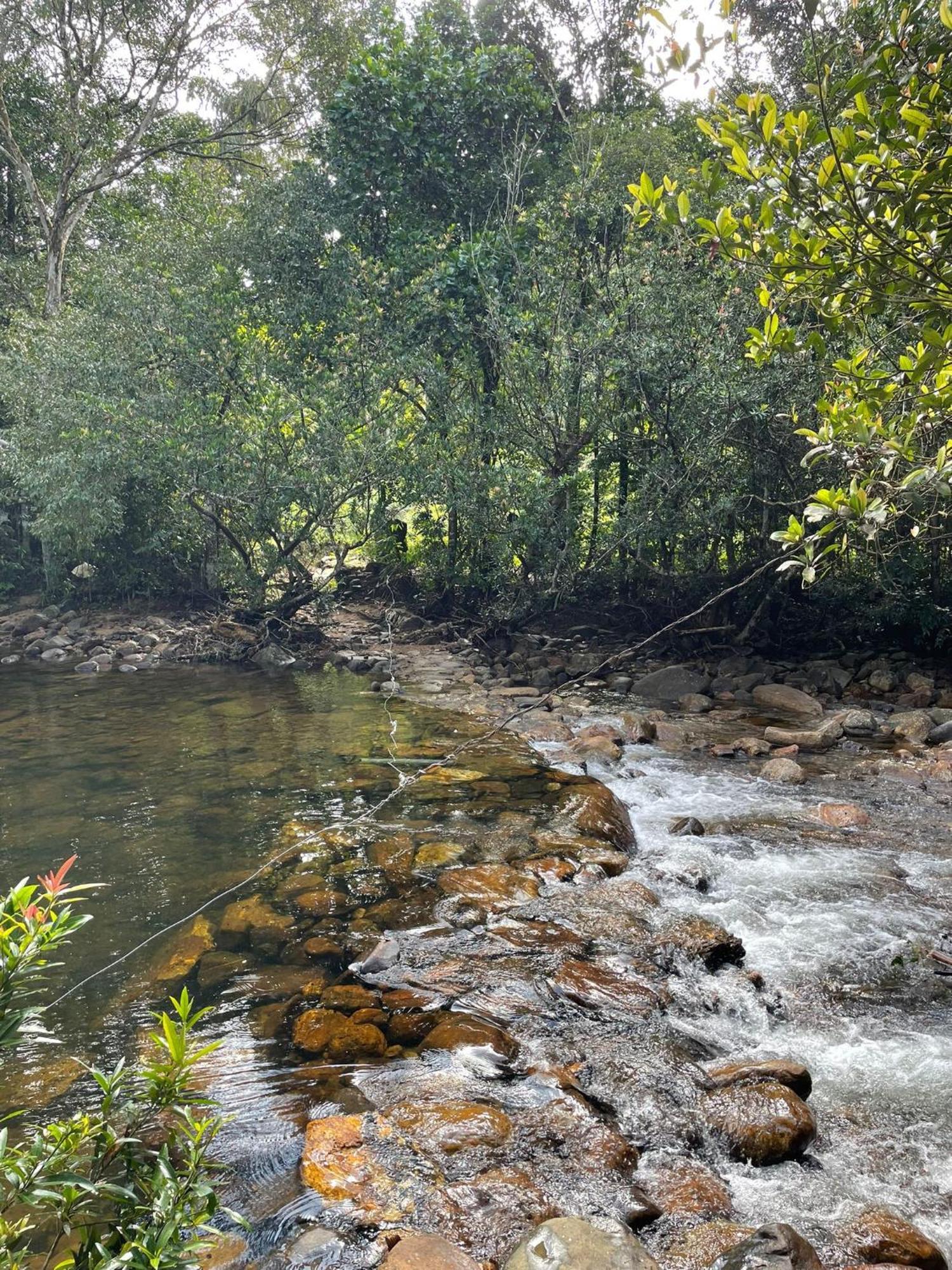 Rainforest Cabin دينيايا المظهر الخارجي الصورة