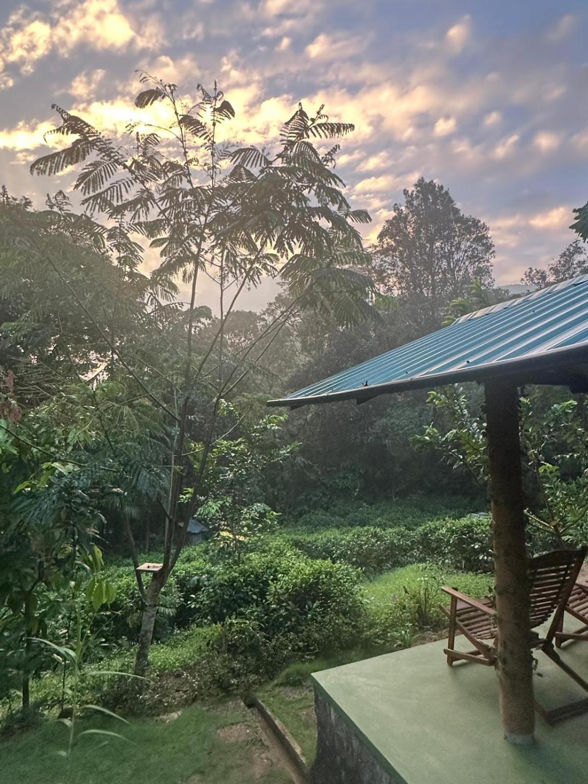 Rainforest Cabin دينيايا الغرفة الصورة