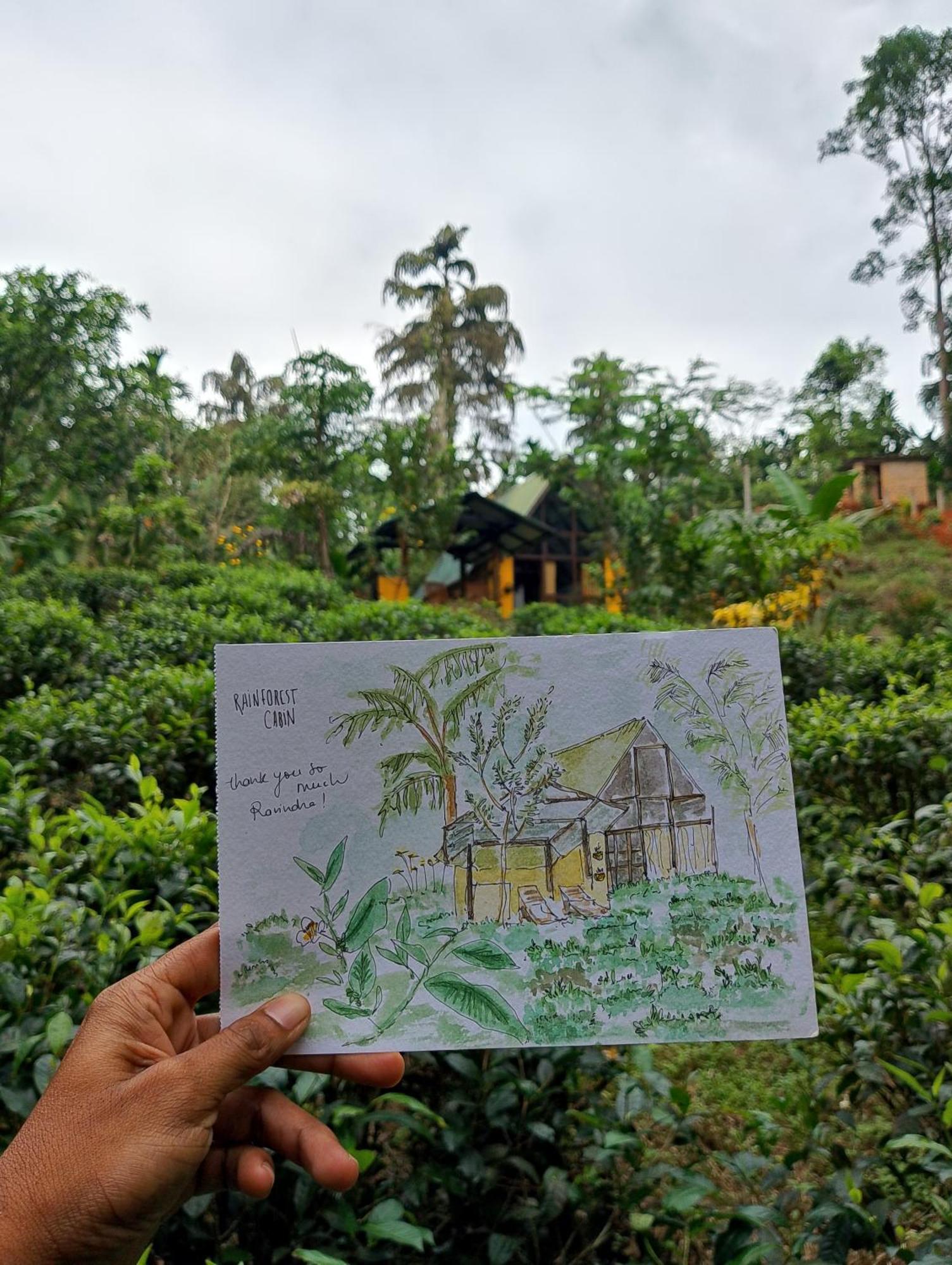 Rainforest Cabin دينيايا المظهر الخارجي الصورة