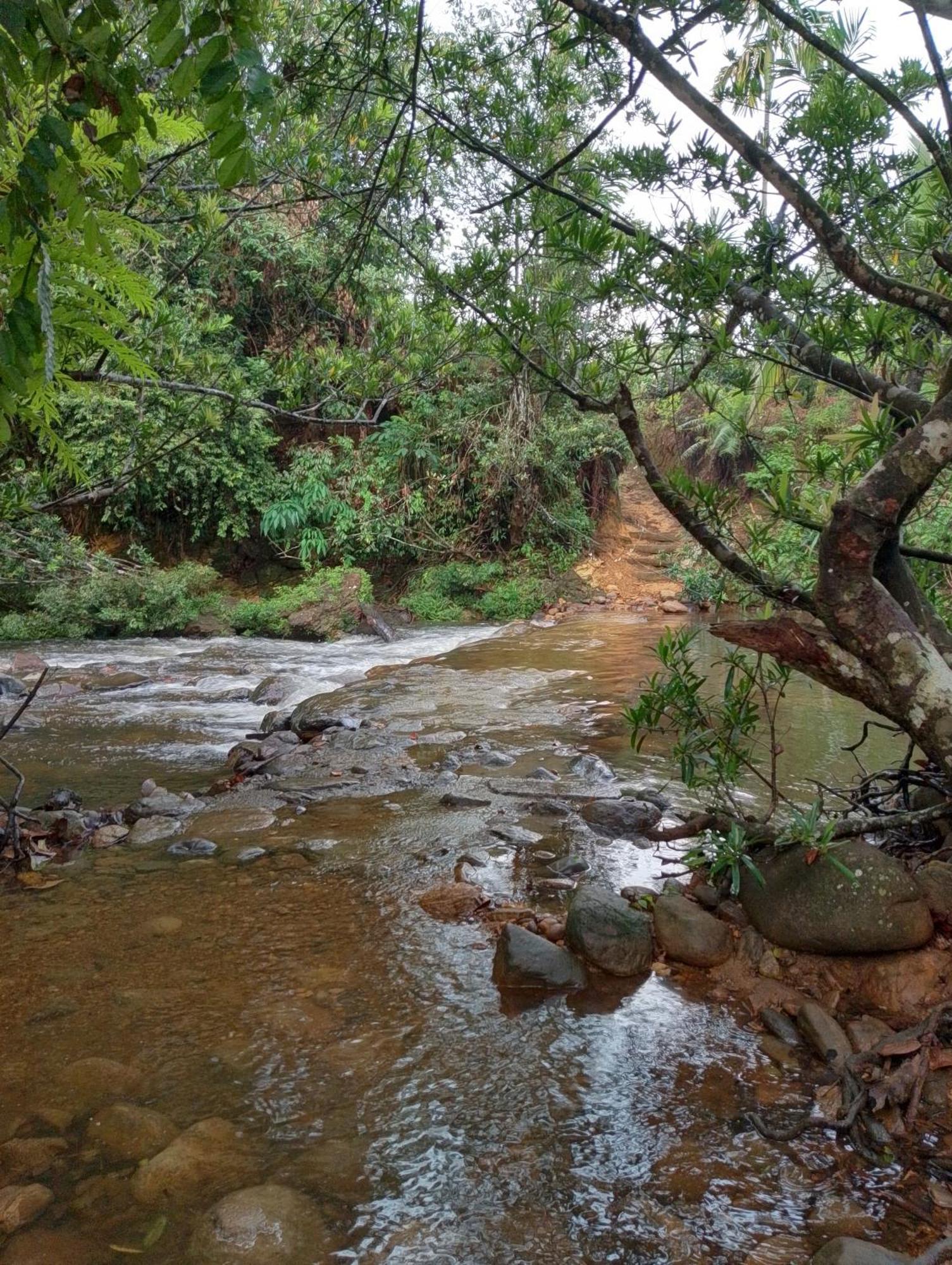 Rainforest Cabin دينيايا المظهر الخارجي الصورة